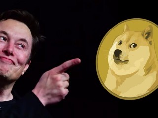 Doge Fiyat Analizi - 4 Temmuz 2022