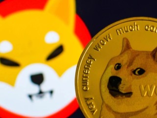 Dogecoin ve Shiba Inu Güçleniyor, Neden mi?