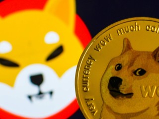 DOGE ve SHİB, Piyasa Üzerindeki Mevcut Yerlerini Kaybetmeye Hiç Bu Kadar Yakın Olmamıştı