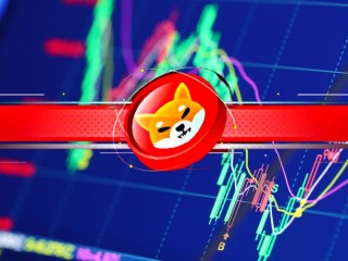 Shib Nereye Doğru Yol Alıyor?