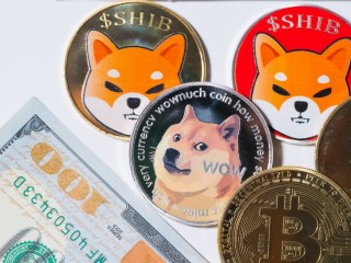 Shiba Inu vs Dogecoin