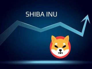 Shiba Inu Coin (SHIB) Fiyat Tahmini 2025-2030