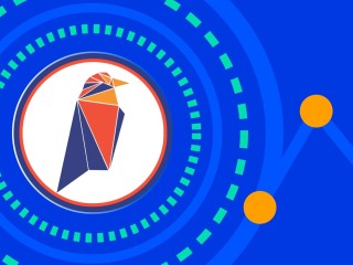 Ravencoin (RVN) Tüm İlerlemelerini Sildiği İçin mi Düştü?