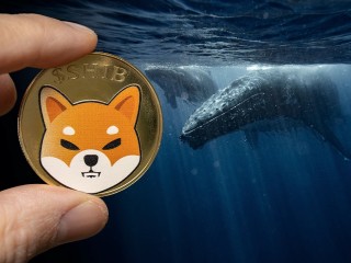 ETH Balinları Shiba Inu’ya Yöneliyor!