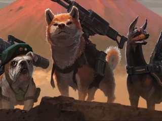 Shib'in Metaverse ve DeFi Geliştirmeleri Son Durum!