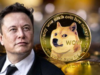 Dogecoin 2021 Rekorunu Bu Sene Kıracak mı?